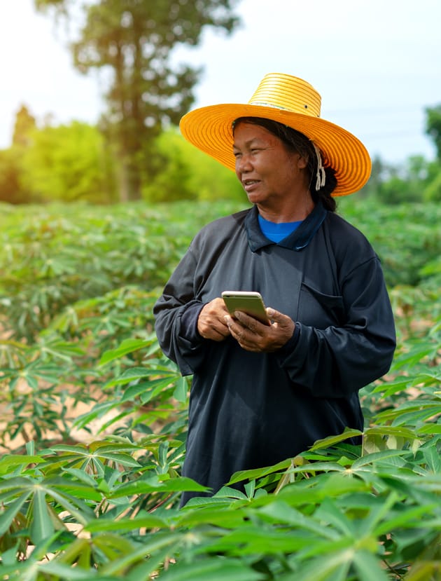 asian lady in a field using cell phone